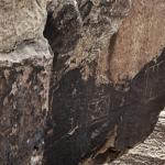 2023OTRA_696 (May 07, 2023)